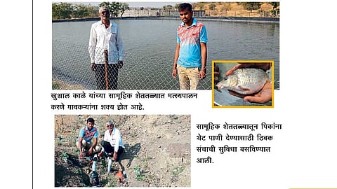Agriculture-Development