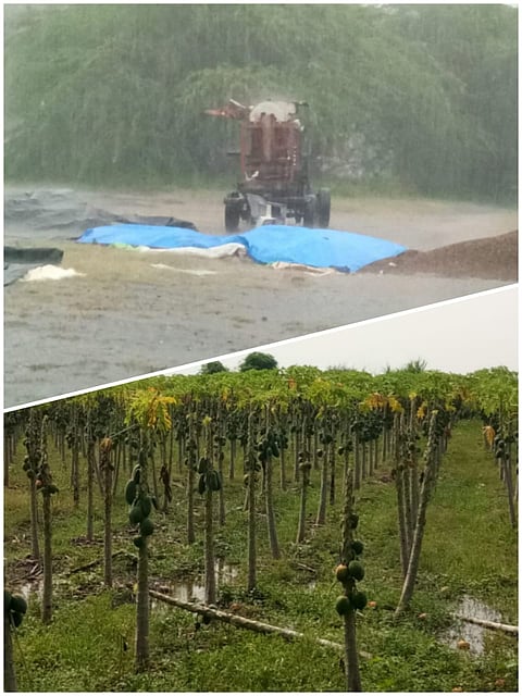 Akluj Rain