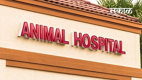 The state veterinary clinic will be open from 9 am to 4.30 pm