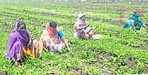 BHILWADI MAJUR.jpeg