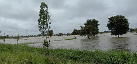 two thousand farms under water at Ballari Nala belgum