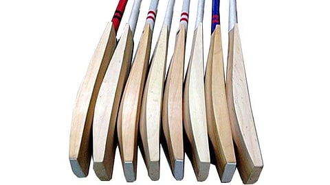 Bats