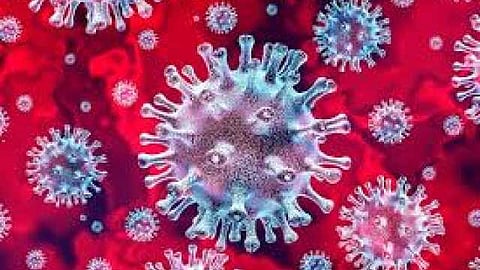 Corona virus 842 patients in Ahmednagar district