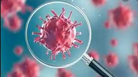 शहापुरातील 11 जणांचा अहवाल निगेटिव्ह