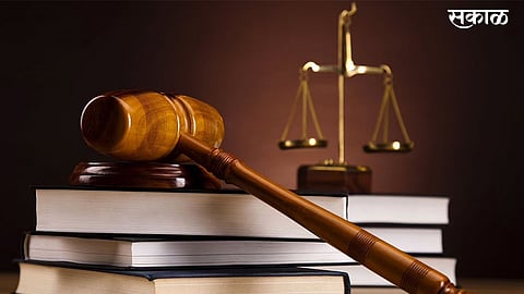खवल्या मांजर तस्करीप्रकरणी कोरेगावसह वाई तालुक्यातील संशयितांचा जामीन फेटाळला