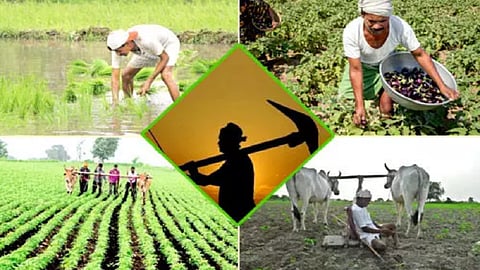 Farmers