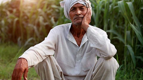 Farmer