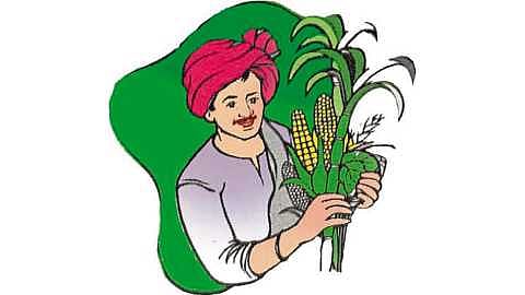 A grain buying and selling center was set up in Pandharpur