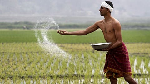 Farmer