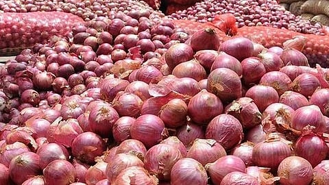 Fear of falling onion prices due to nine day market closure Nashik Marathi News