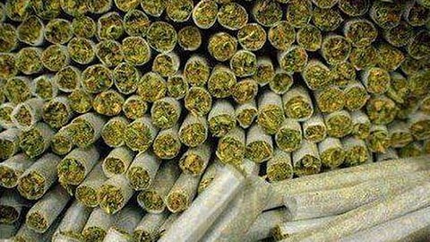 Ganja