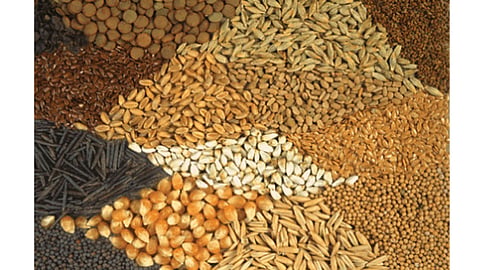 Grains