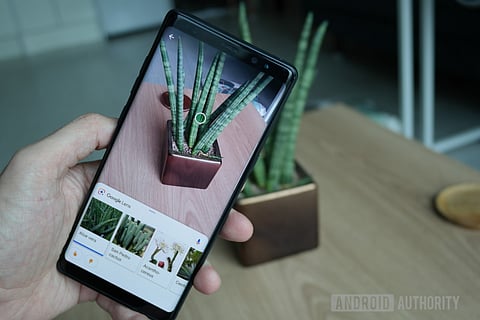 Information can be retrieved from the Google Lens application.jpg