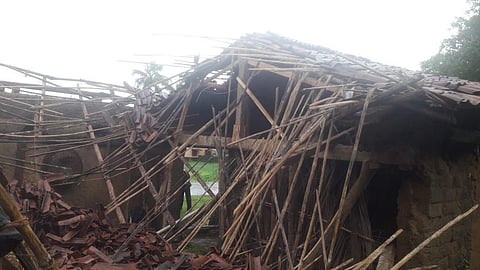 heavy rain impact madura konkan sindhudurg