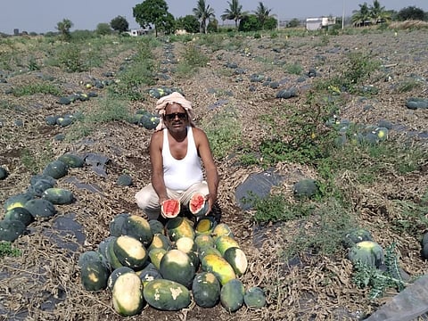 The loss of millions of farmers due to corona