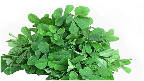 METHI1