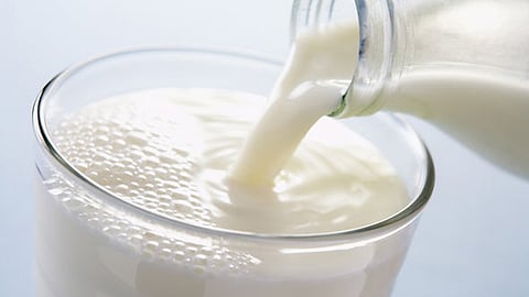 MILK.jpg