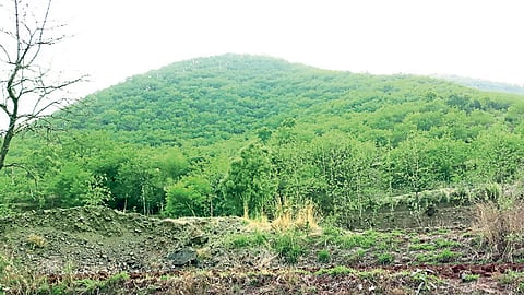 Satara