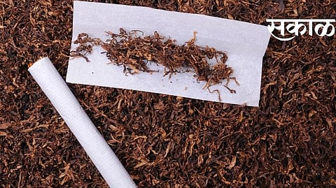 tobacco