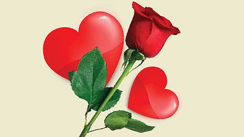 Red-Rose