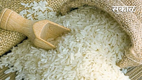 Rice