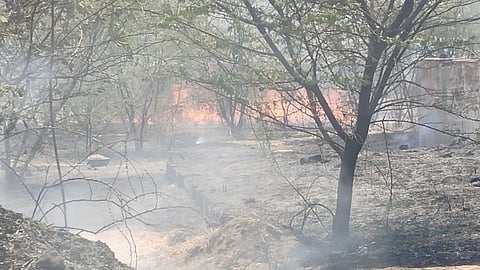 कुरकुंभ औद्योगिक वसाहतीतील एका कंपनीच्या परिसरातील गवतास आग