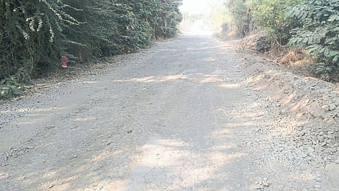 Is there a guardian on the state highway?