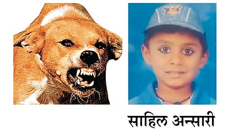 Sahil-Ansari