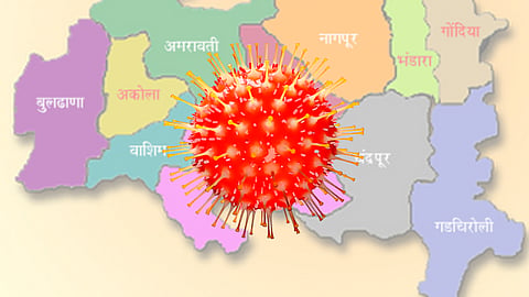 corona in vidarbha