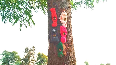 Superstitious dolls and lemons found on border of village in Yavatmal