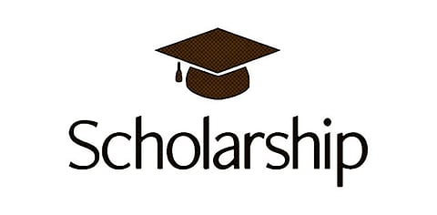 The students did not receive a scholarship