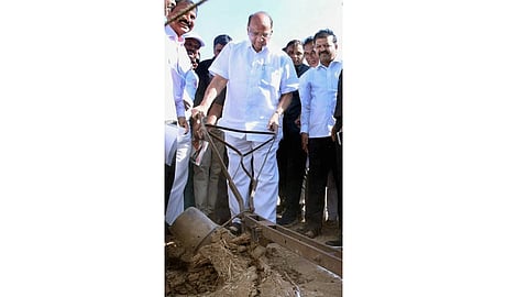 ncp leader sharad pawar explained baramati agricultural pattern