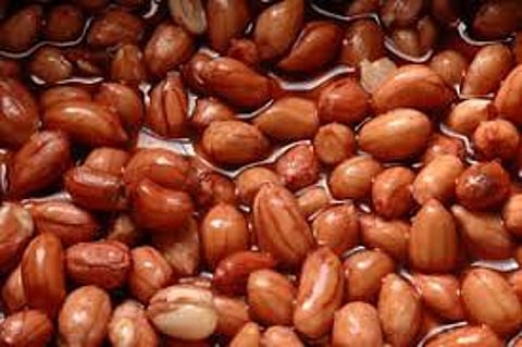 Soaked peanuts