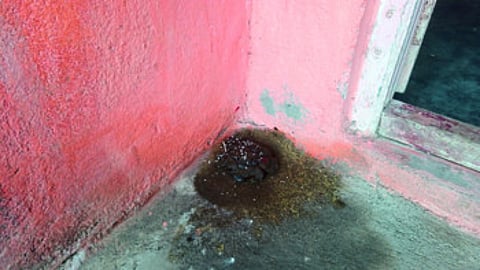 खानदेशात भालदेव पूजनाची परंपरा आजही टिकून