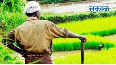 The Tukai Upsa Irrigation Scheme, which is a lifeline for 28 villages in Karjat taluka, will now include 4 additional seepage ponds..jpg