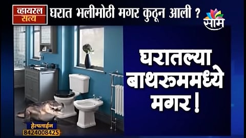 Viral Satya Video Crocodile was found in the bathroom of the house
