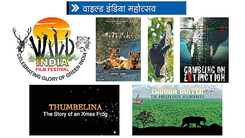 Wild-India-Mahotsav