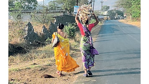 टाकवे बुद्रुक : गॅसदरवाढीमुळे नोकरी करूनही मिळेल ते सरपण चुलीसाठी घेऊन जाताना महिला.