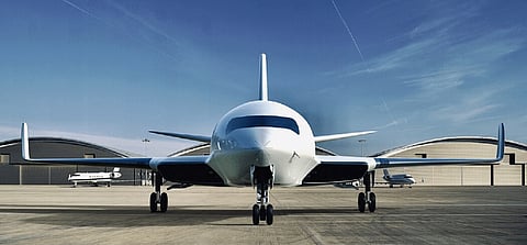 The Watchdog Foundation advocated for the rights of air passengers
