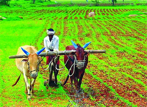 Farmers have been waiting for compensation for a year