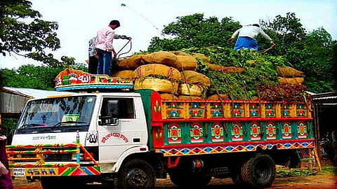 Grants for interstate agricultural transport; Marketing Board's new plan