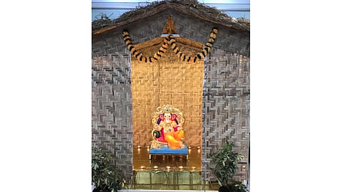 bamboo-zopadi