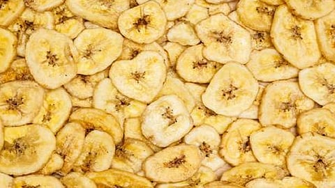Banana chips came in Ratnagiri and Hapus in Rajkot kokan marathi news