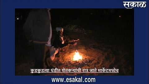 Akola News: Farmers stay up all night to register for maize purchase