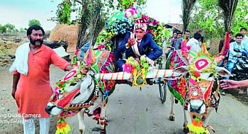 bhandara