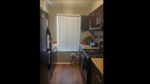 Woman shares pic of cat hiding in plain sight Can you spot it?
