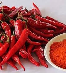 chilli raise in sangli.jpg