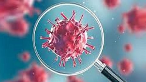 new 46 corona patient found in ratnagiri