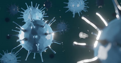 coronavirus
