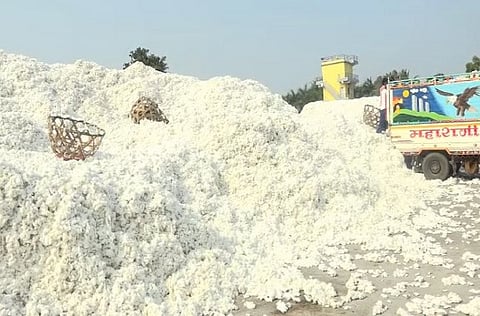 cotton kharedi